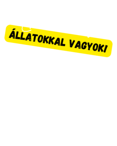 Én a menhelyi állatokkal vagyok! És Te?